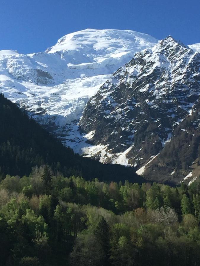Appartement Face Au Mont Blanc & Glaciers 霞慕尼 外观 照片